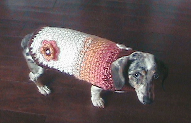 Crochet dog sweater patterns - Squidoo : Welcome to Squidoo