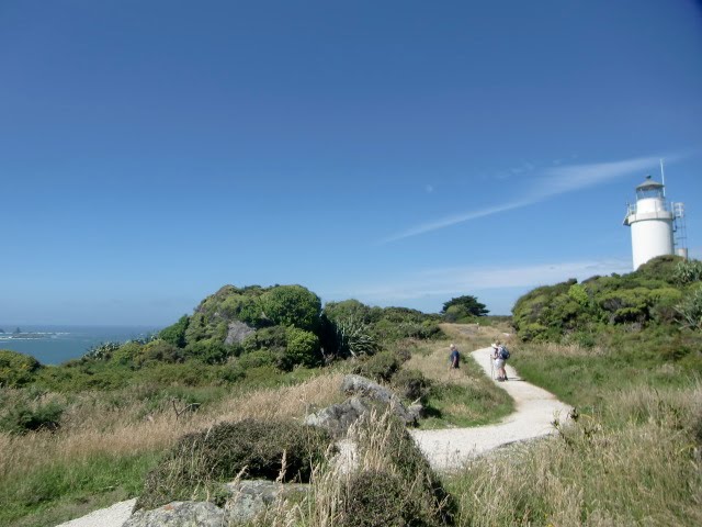 Lighthouse on the Foulwind Coast