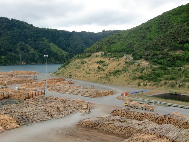 Loading logs at Picton Port