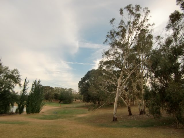 Near  Lake Burley Griffin