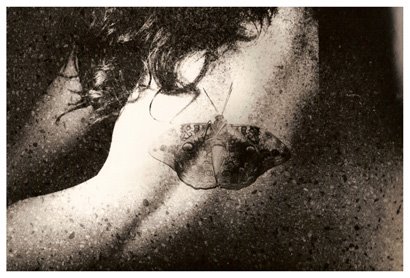 Mariposa Desnuda