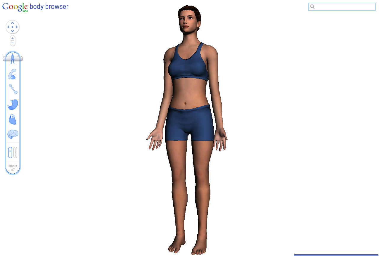 зигота боди. виртуальные анатомические атласы. Zygote body. Zygote body. Google body.