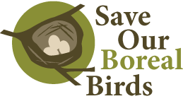 [sobb-logo.png]