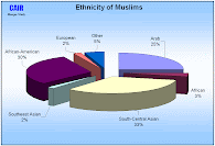 Ethnicity of Muslims in the U.S.A