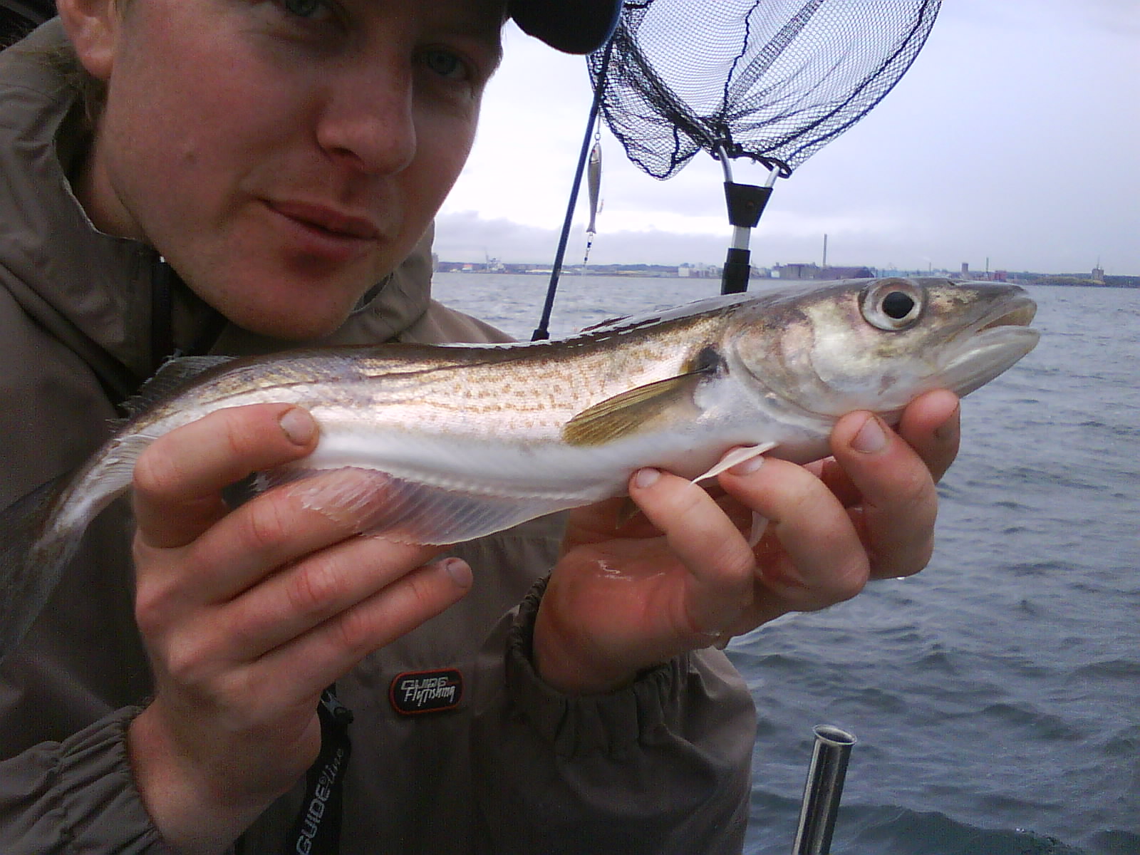 Team Isola: Godkänd vitling, 320gr
