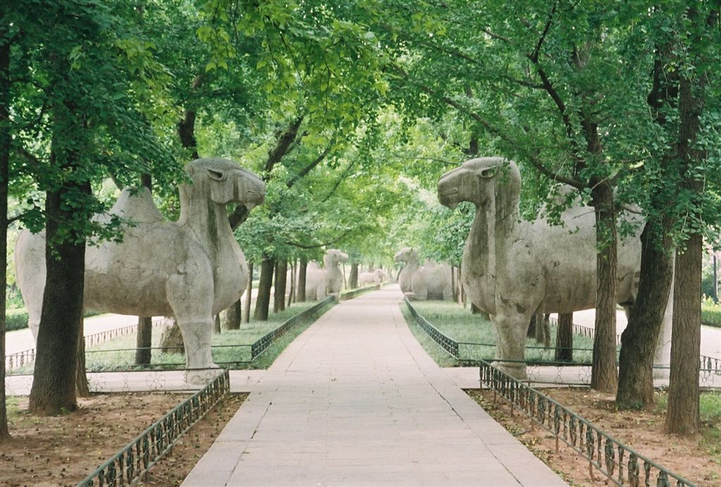 [118_SpiritWay_SYSPark.jpg]