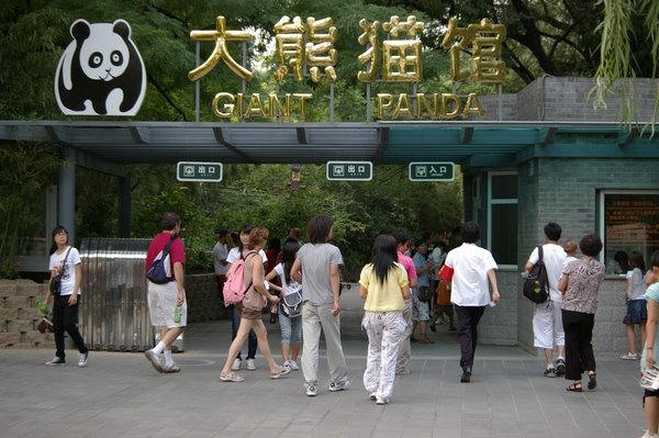 [panda+exhibit.bmp]