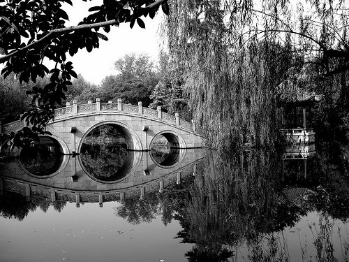 [3073136689_a2e477390e.jpg]