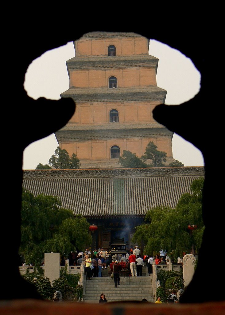 [262982367_7a40d7fdea_o.jpg]