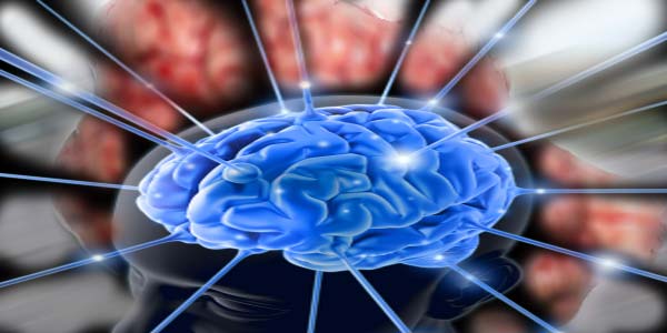 Cakrawela: Inilah Perbedaan Otak Kanan Dan Otak Kiri