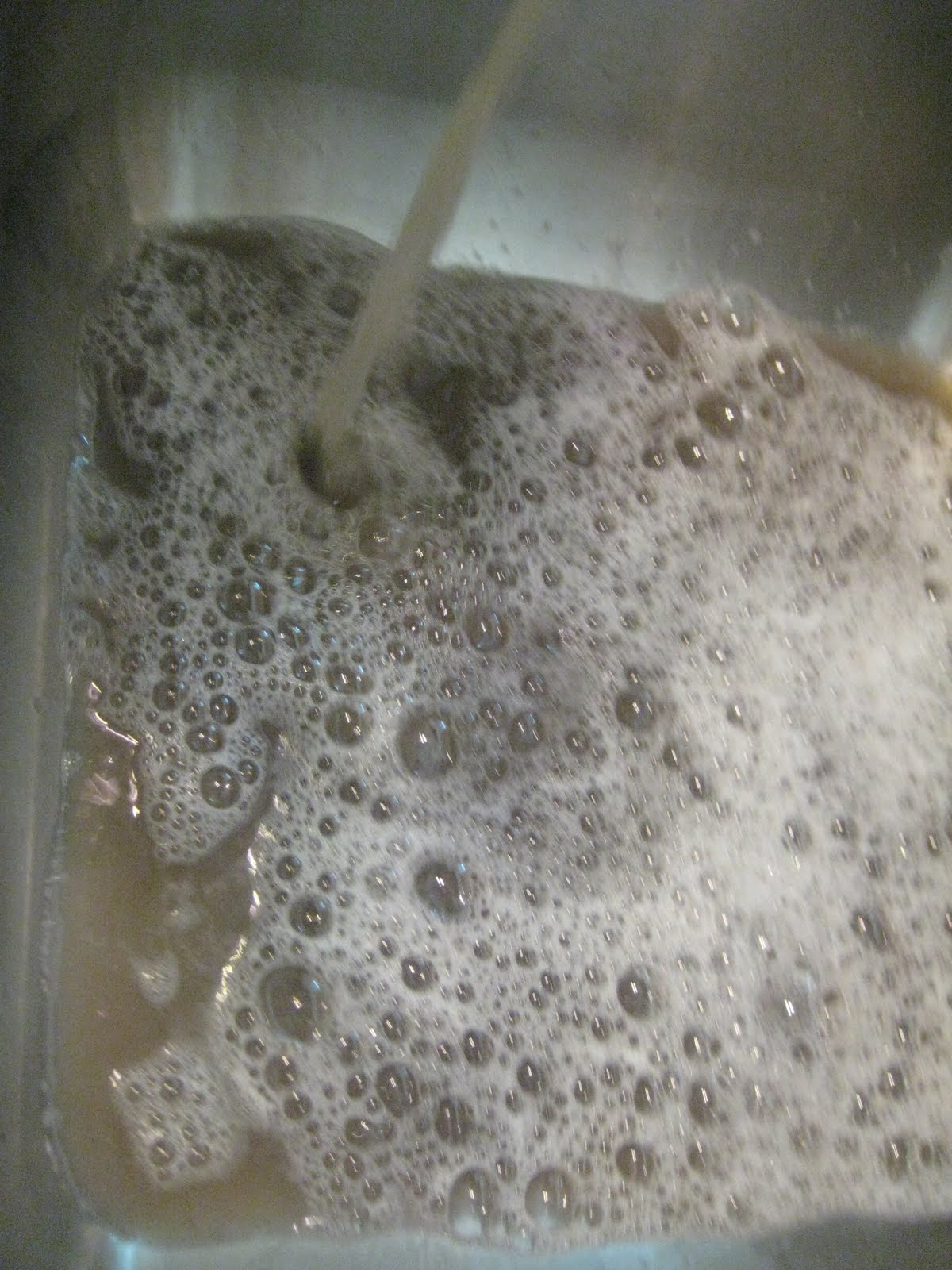 Quarry Orchard Homemade carpet shampoo