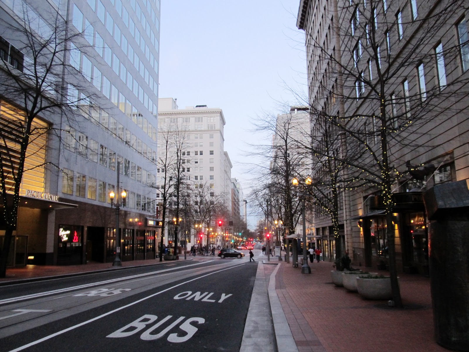 MarkDaMan's Photo Blog: Downtown Portland at dusk in January