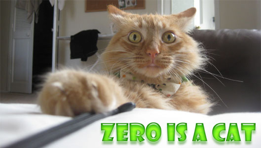 Zero Is A Cat