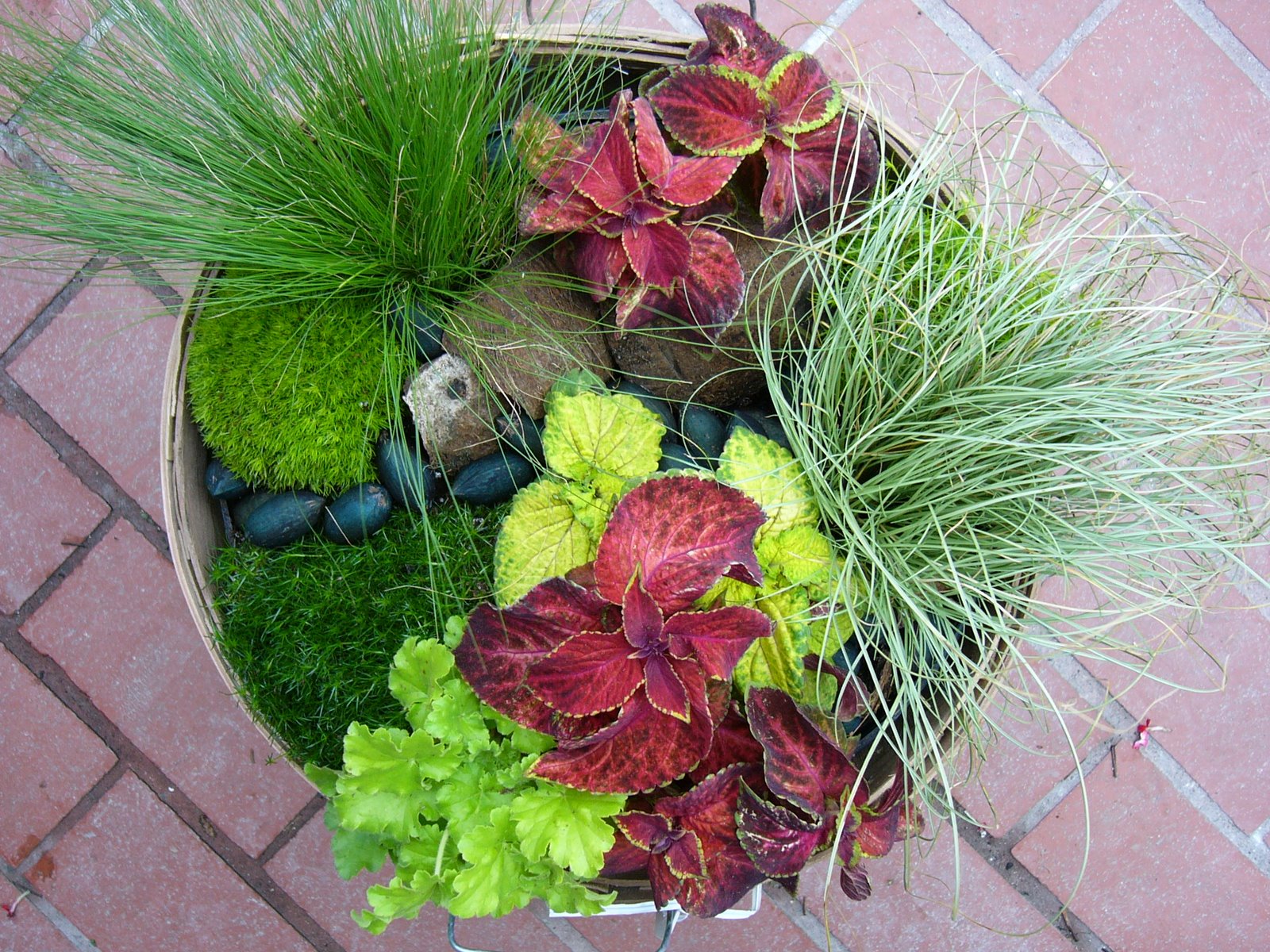 paradis express Hester and Zipperer Lawn & Garden