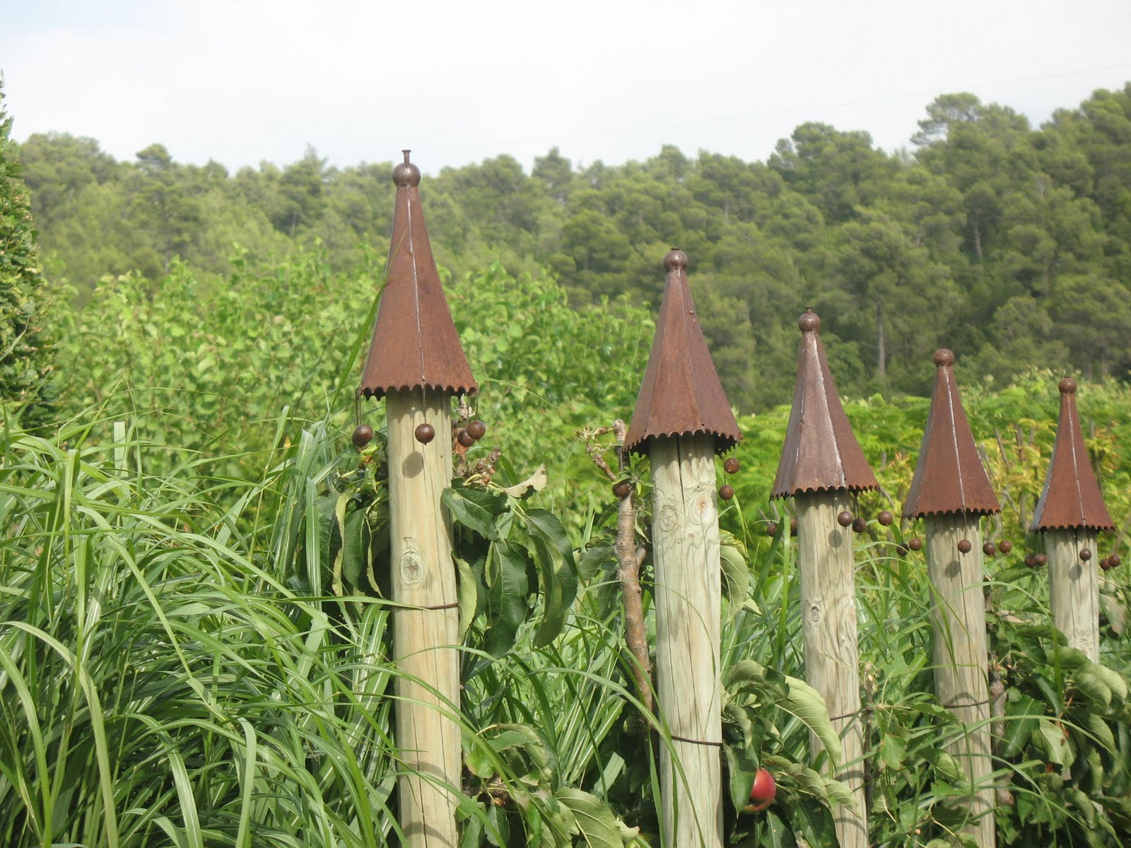 paradis express: Parcs et jardins de l'Oise