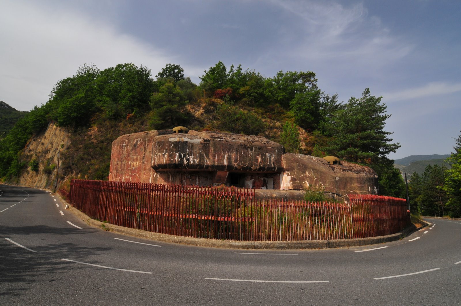 [DSC_0555.JPG]