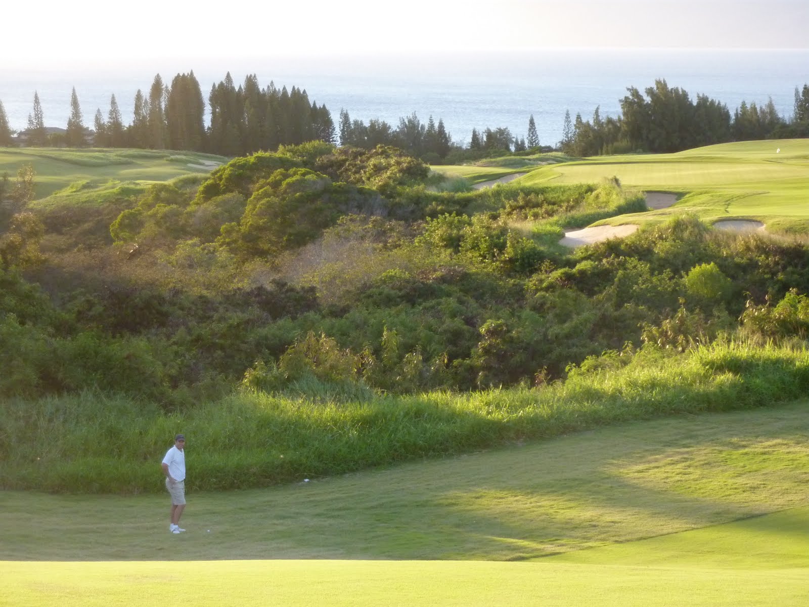 Playing the front tee The PGA Season Kicks off at Kapalua