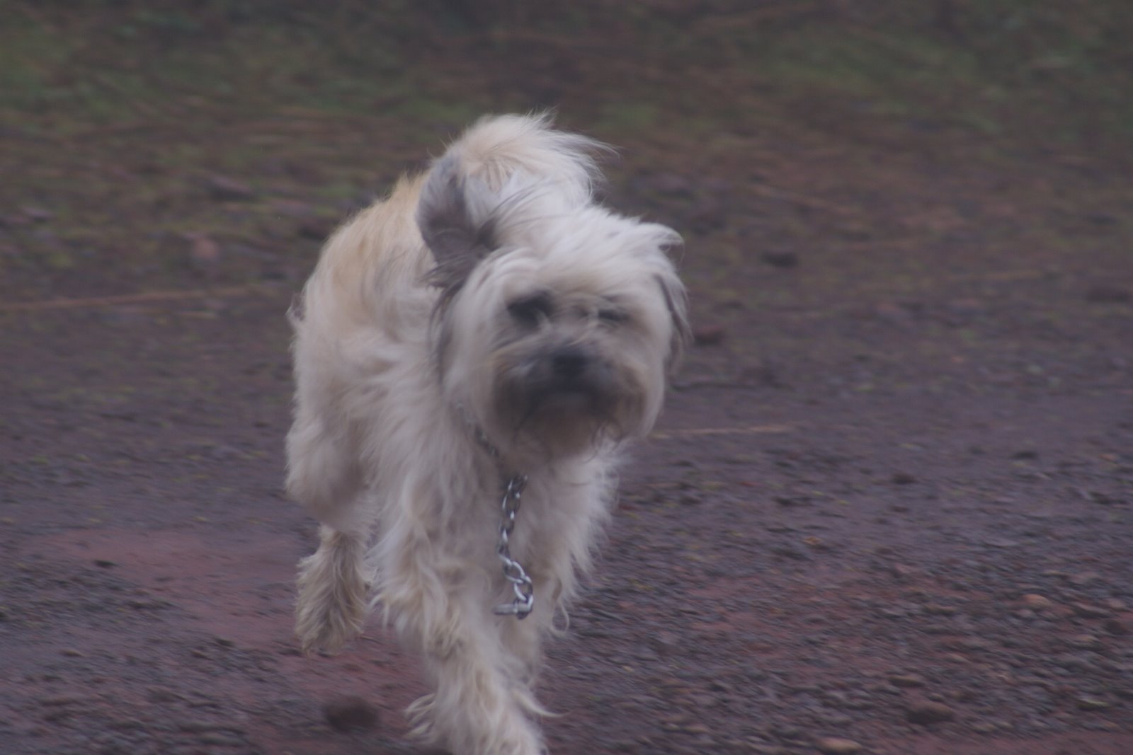 [21+dezembro+2008+088.jpg]