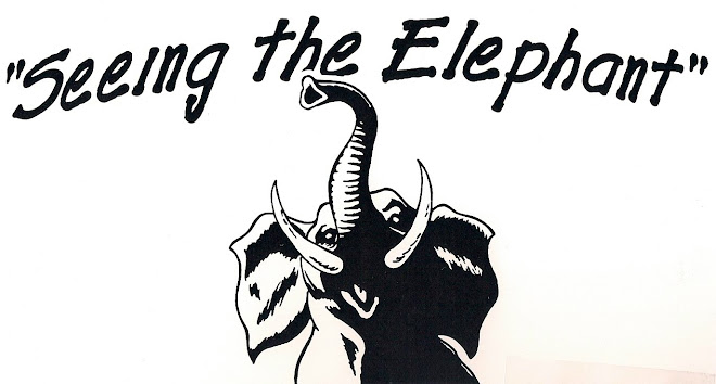 Seeing The Elephant