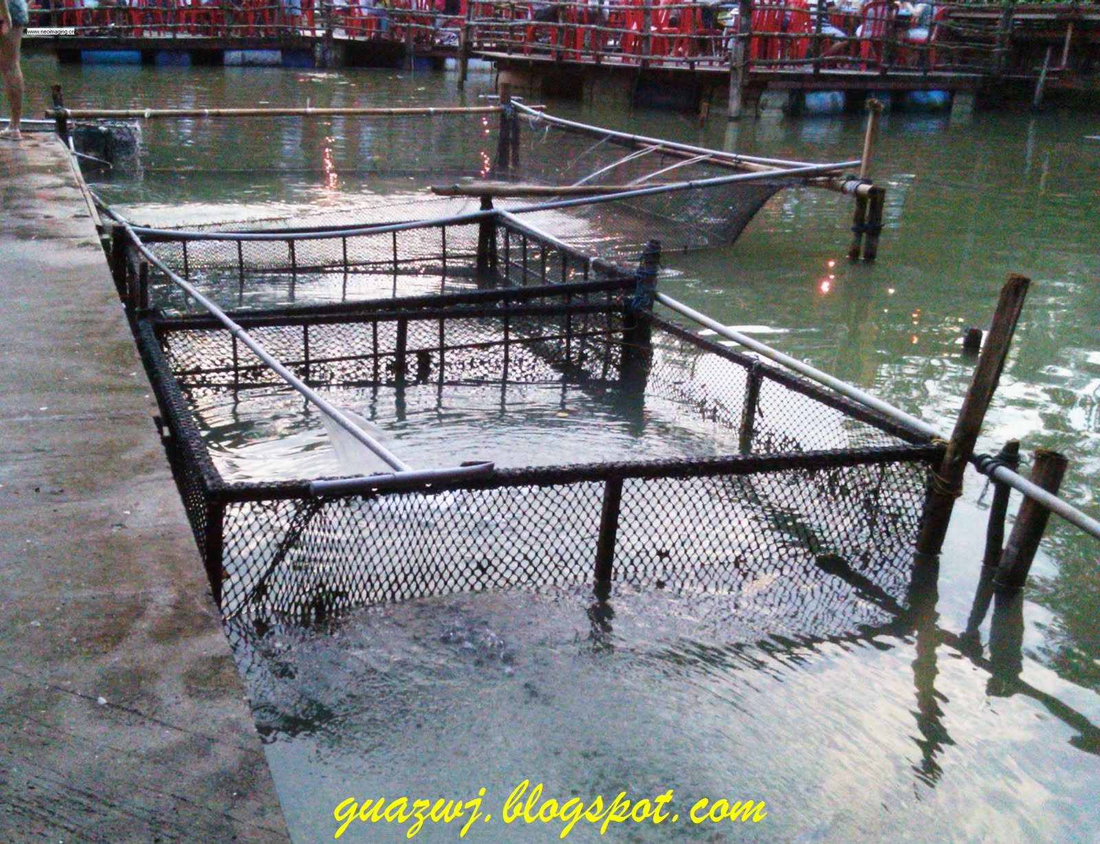Sharing ★ 分享 ★ [FOOD] Thai fish farm restaurant Hulu Langat Ampang
