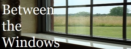 Between the Windows