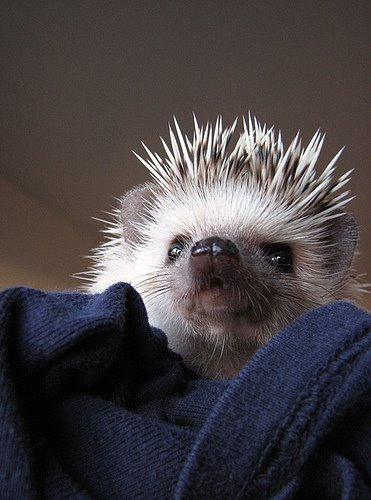 [3308484786_414be3b894.jpg]