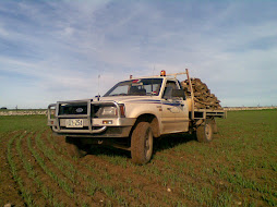 Ford Courier tipper