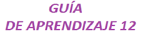 Guía de Aprendizaje 12