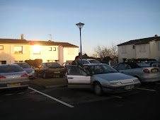 rico l'informaticien attèle son cheval blanc