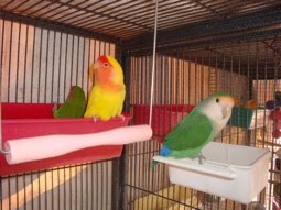 There are more of us