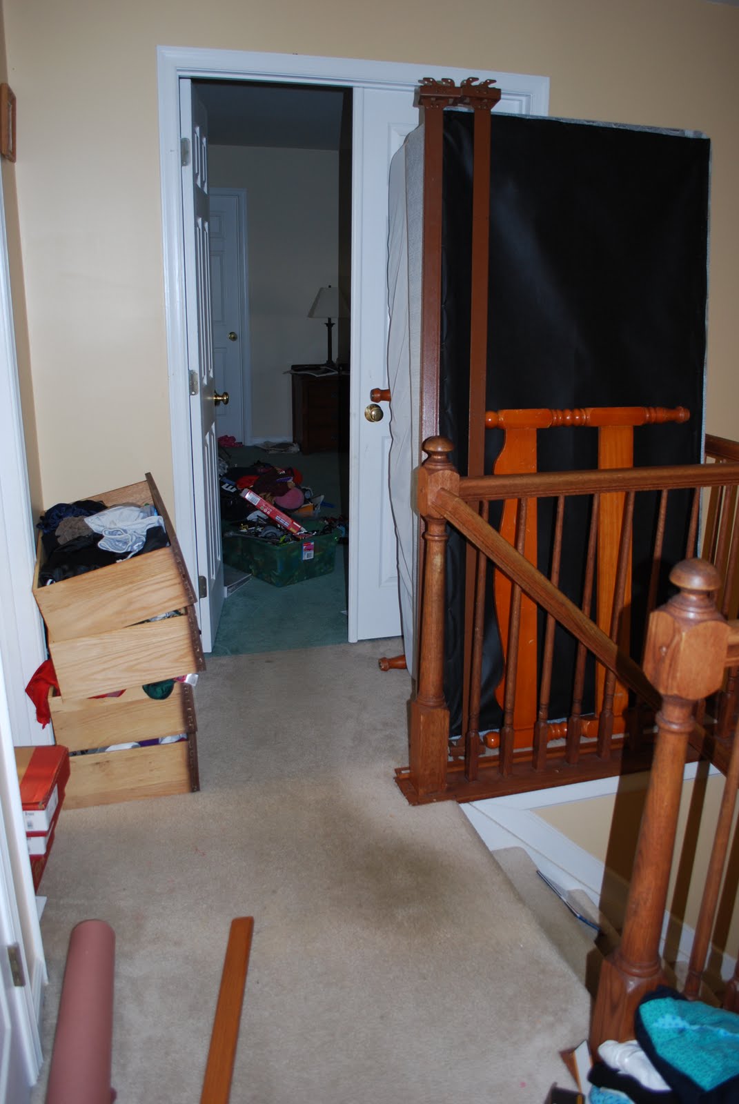 Vote No'Malley The Fish Tank Accident