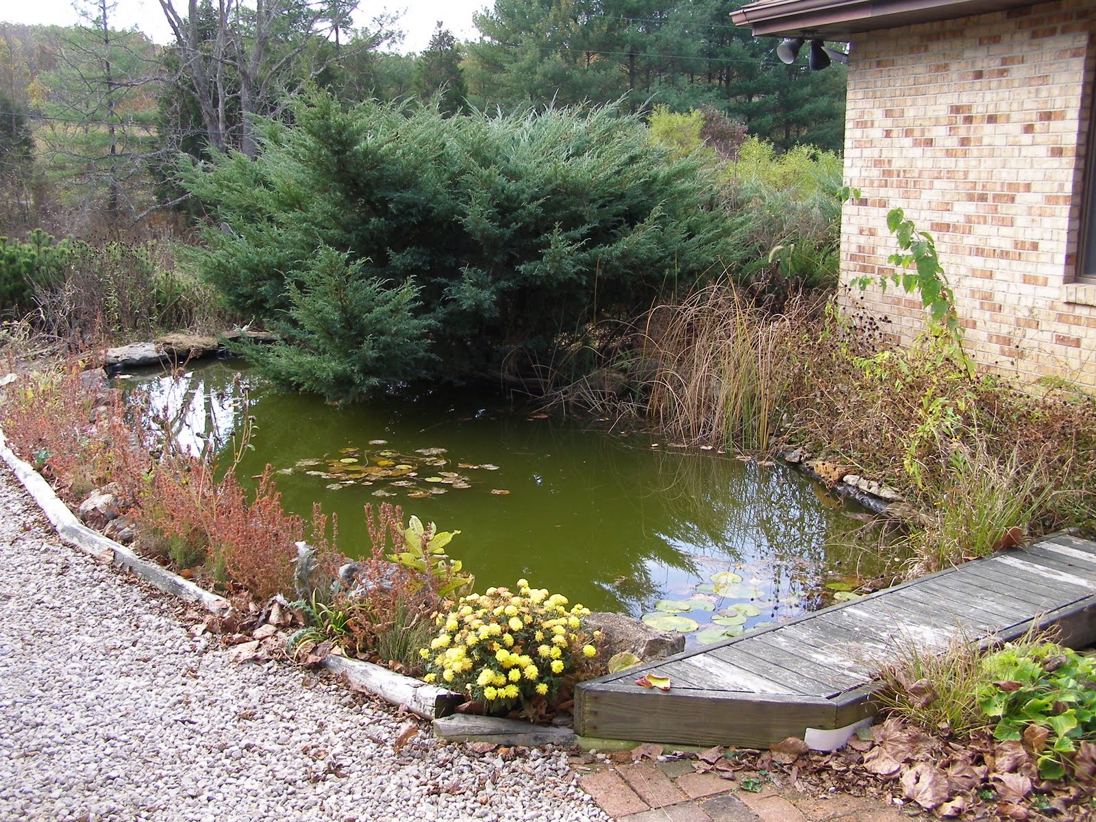 Blue Jay Barrens Water Garden Maintenance