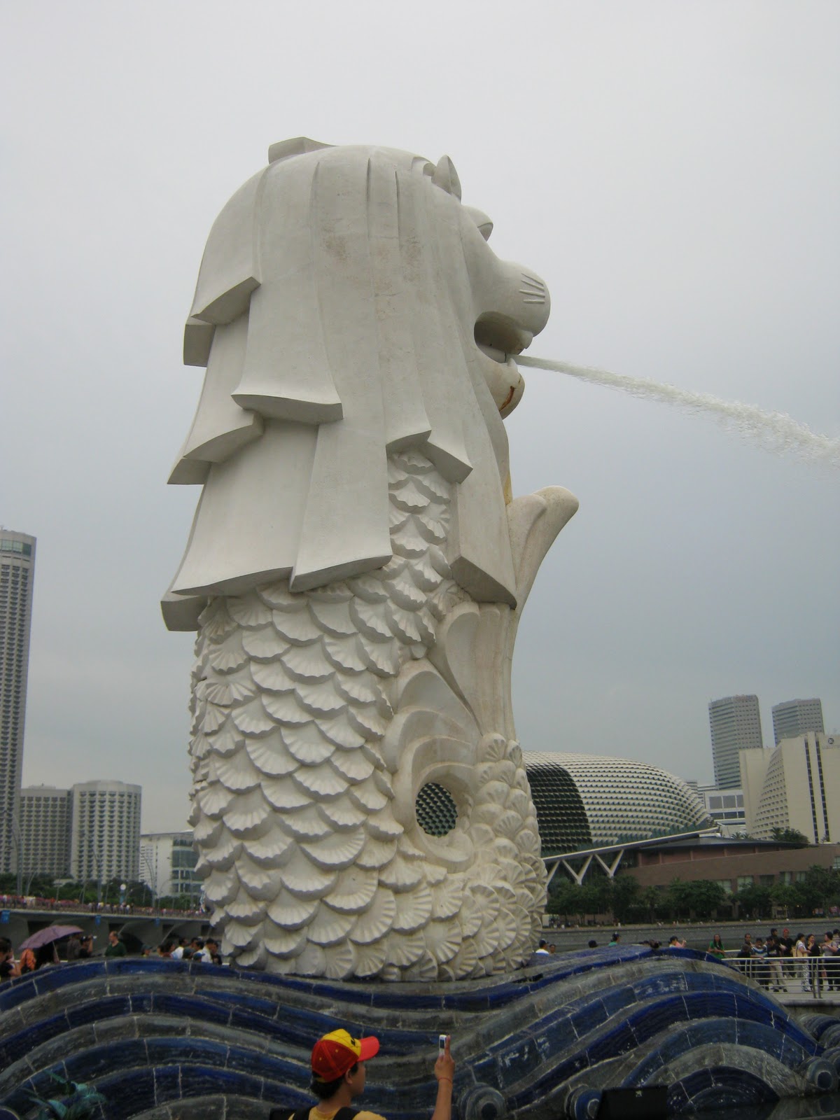 The Singapore National Symbol | Living at-Singapore