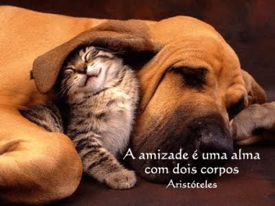 amizade2.jpg
