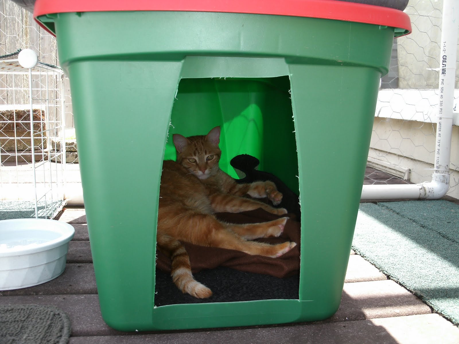 Outdoor Cat Shelter 84