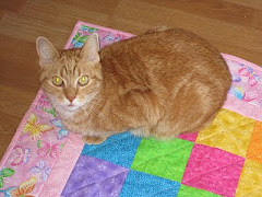 Kitties and Quilts