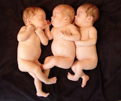 Feb. 2008, 2 months old