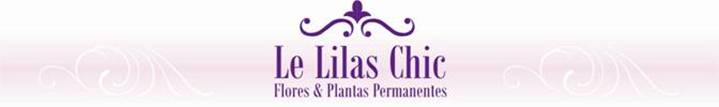 Le Lilas Chic - Flores e Plantas Permanentes
