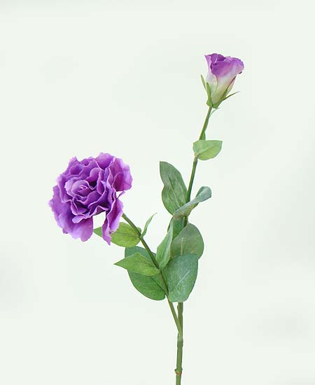 2597-lv+Lisianthus+65cm+Lavanda+R$+29,90.jpg