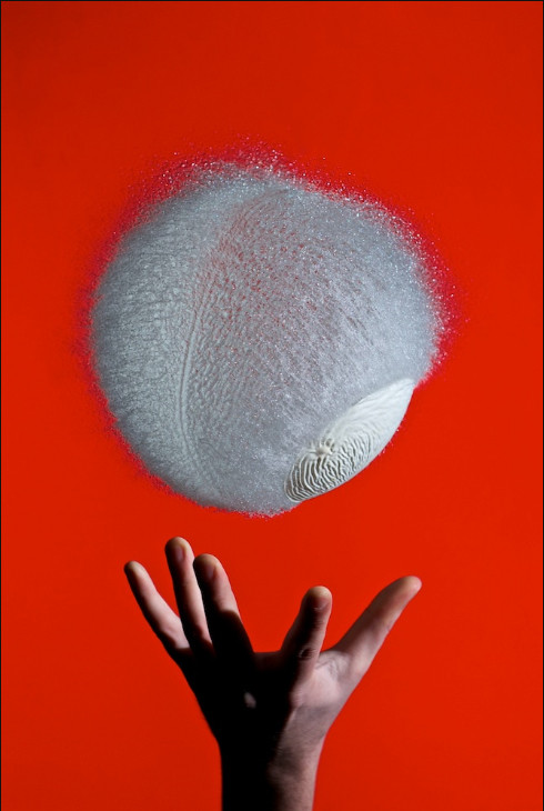 Randomnies: Amazing bursting baloons photography by Edward Horsford