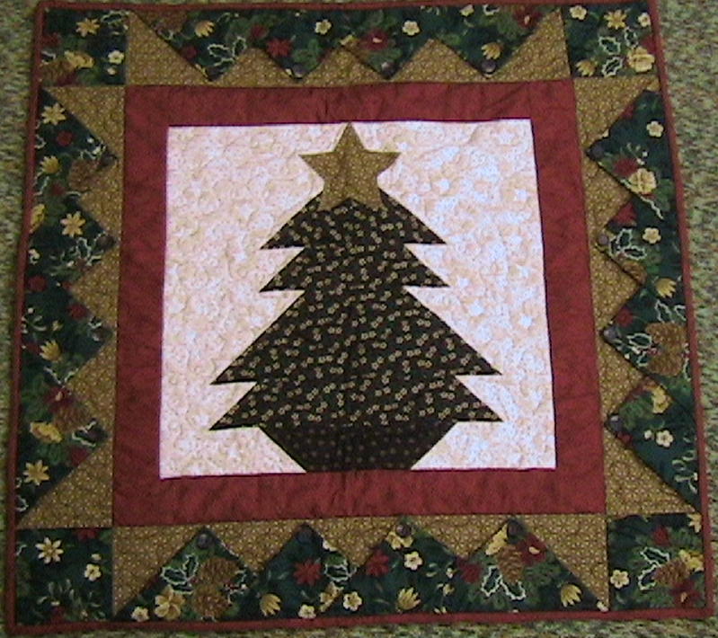 Appalachian Quilts: January 2011
