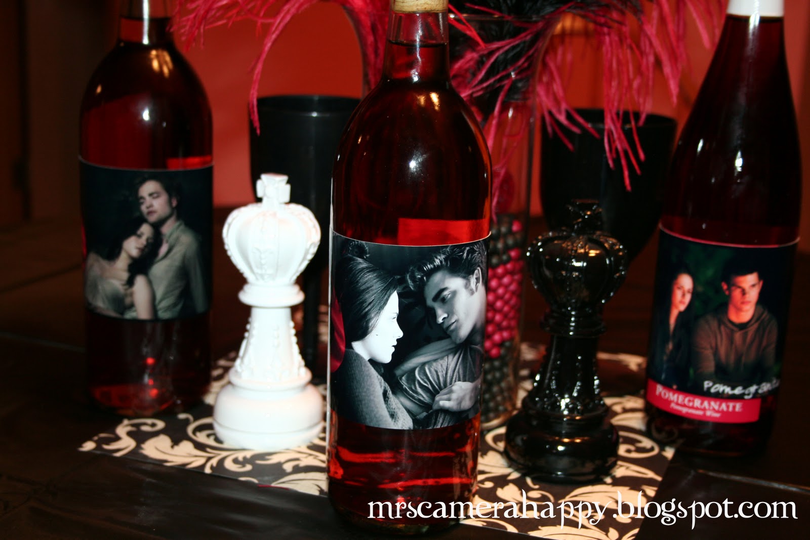 Mrs. Camera Happy - Adventures In Mommyhood: Twilight Saga Eclipse DVD