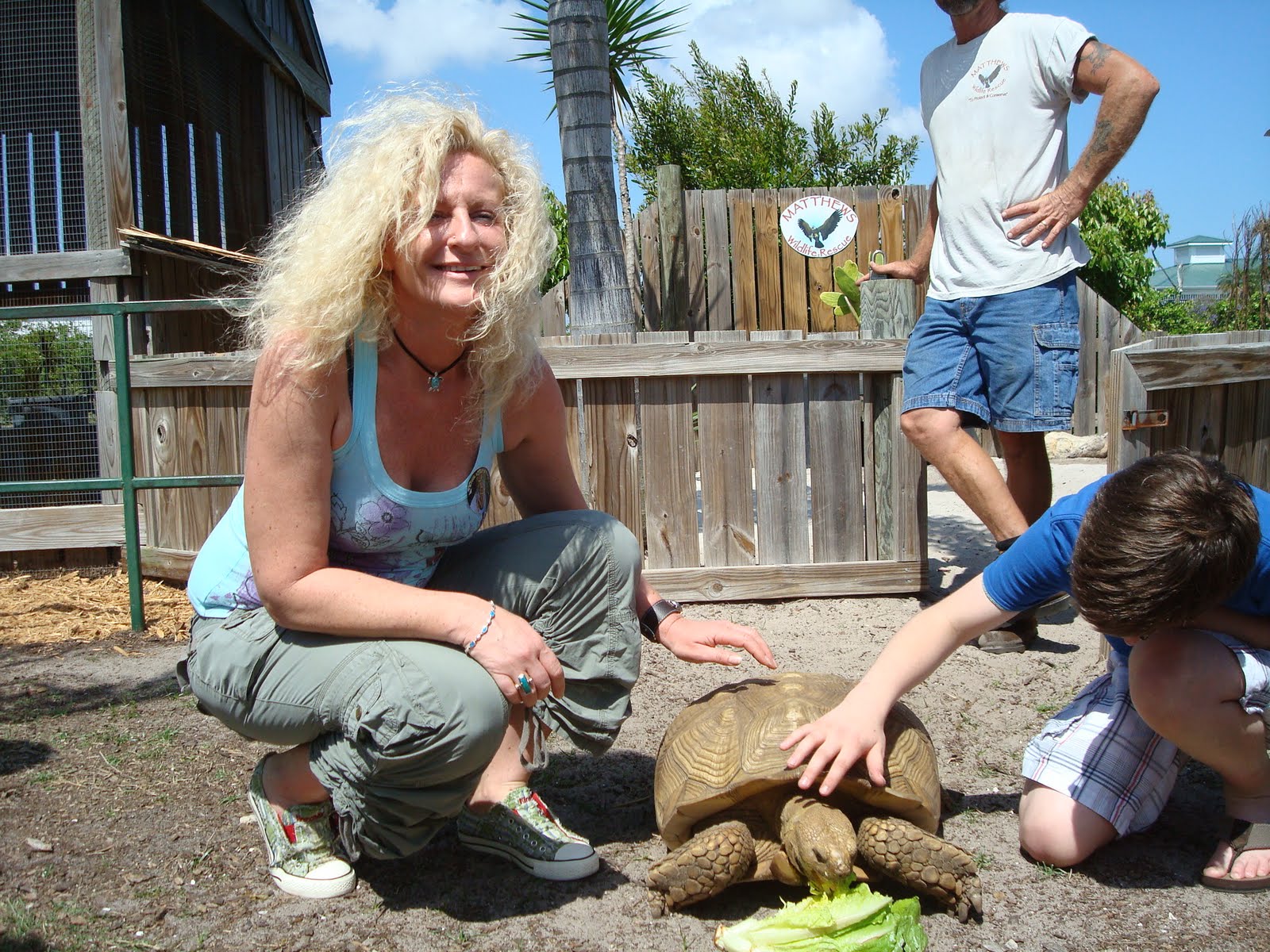 Justin lieber essay 06 image