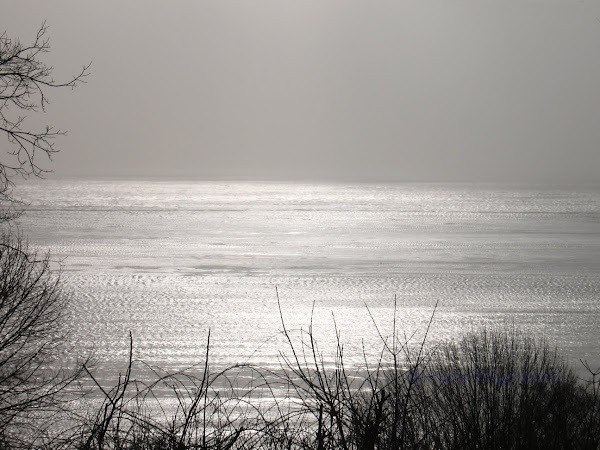 Lake Erie: January 2, 2010 - 2:30 PM