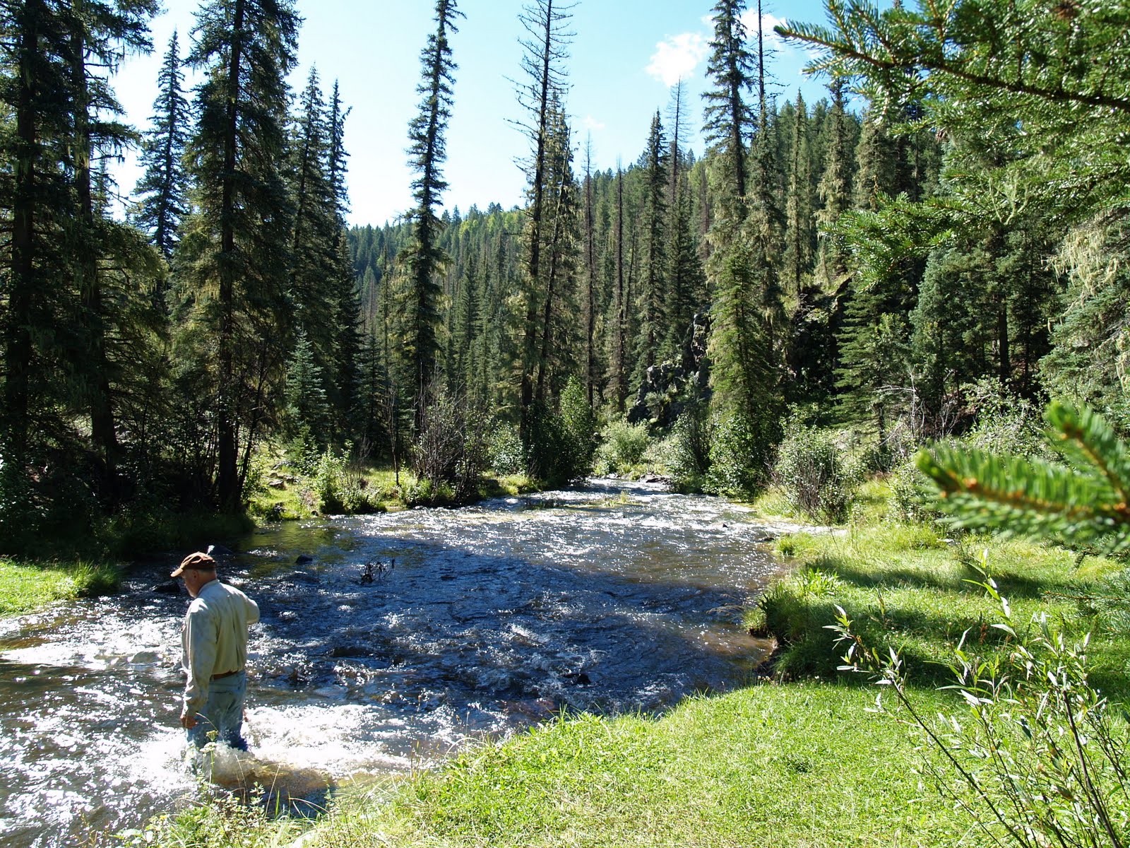 Arizona Hiking WEST FORK of the BLACK RIVER