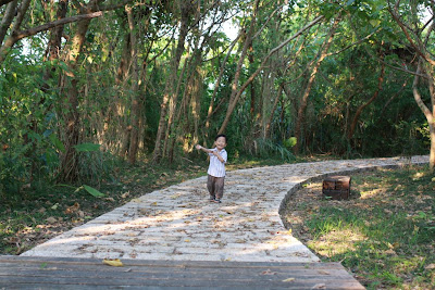 親子的關渡自然公園，西南賞鳥廣場