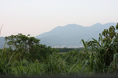 從關渡自然公園遠望大屯山