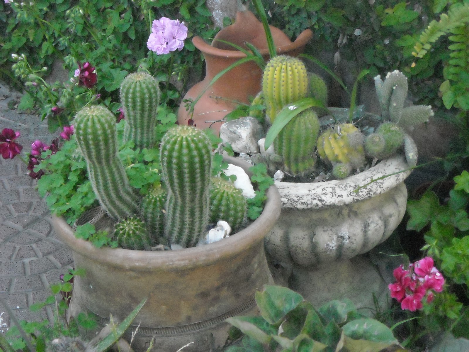 El Observador Prensa Libre: Paisajismo