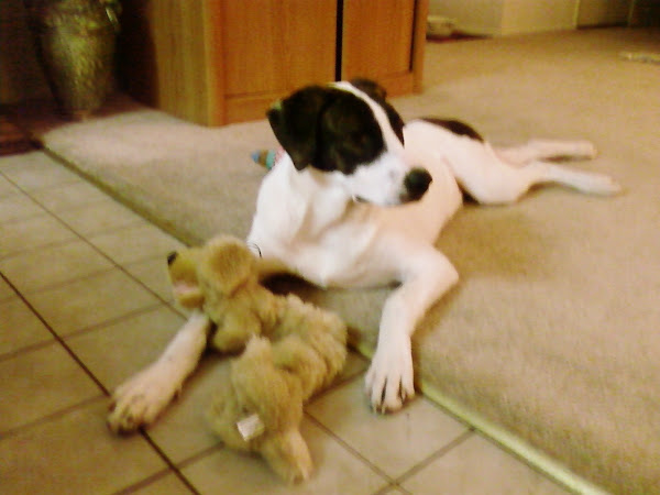 Libby's younger brother Snoopy