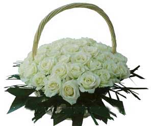 [bouquet+mawar+putih.jpg]